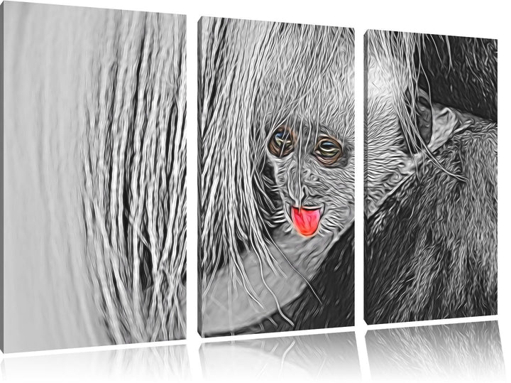 bildschönes Colobus-Äffchen schwarz/weiss Deluxe 3-Teiler Leinwandbild 120x80 Bild auf Leinwand, XXL