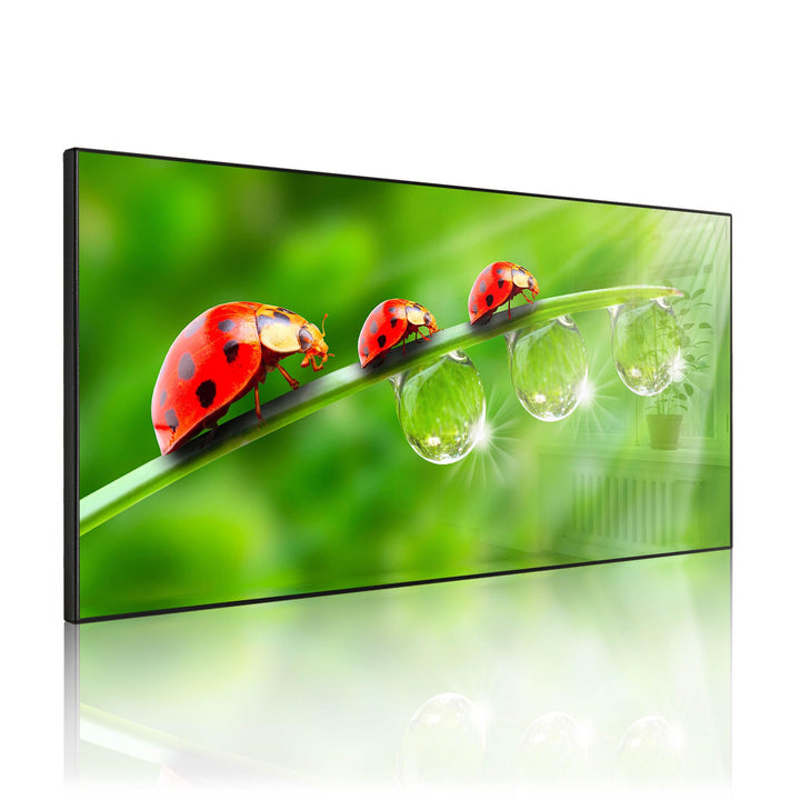 banjado Magnettafel schwarz 78 x 37cm / Magnetwand Metall/Magnetpinnwand als Memoboard/Pinnwand Magn