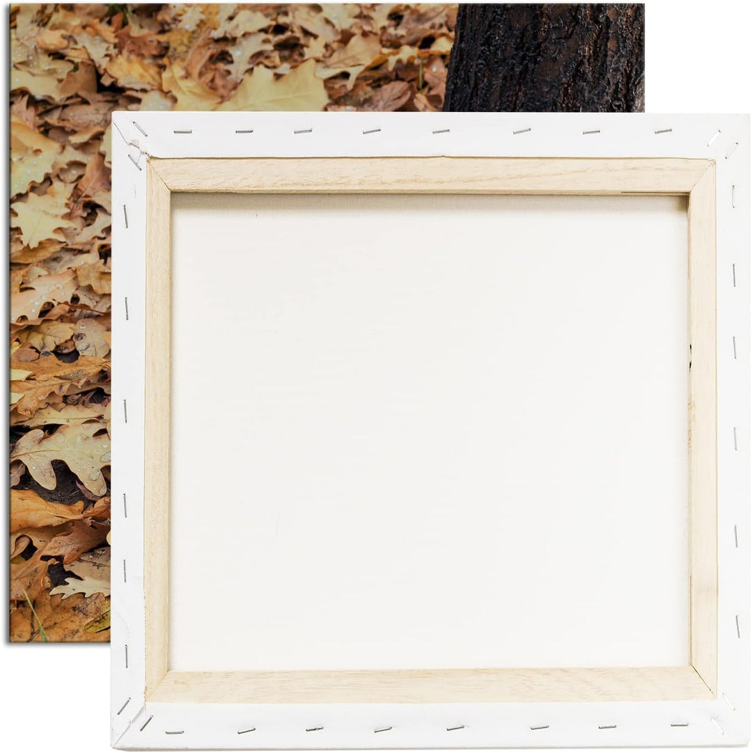 frische Kürbise Format: 70x70 als Leinwandbild, Motiv fertig gerahmt auf Echtholzrahmen, Hochwertige