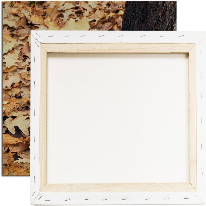 frische Kürbise Format: 70x70 als Leinwandbild, Motiv fertig gerahmt auf Echtholzrahmen, Hochwertige