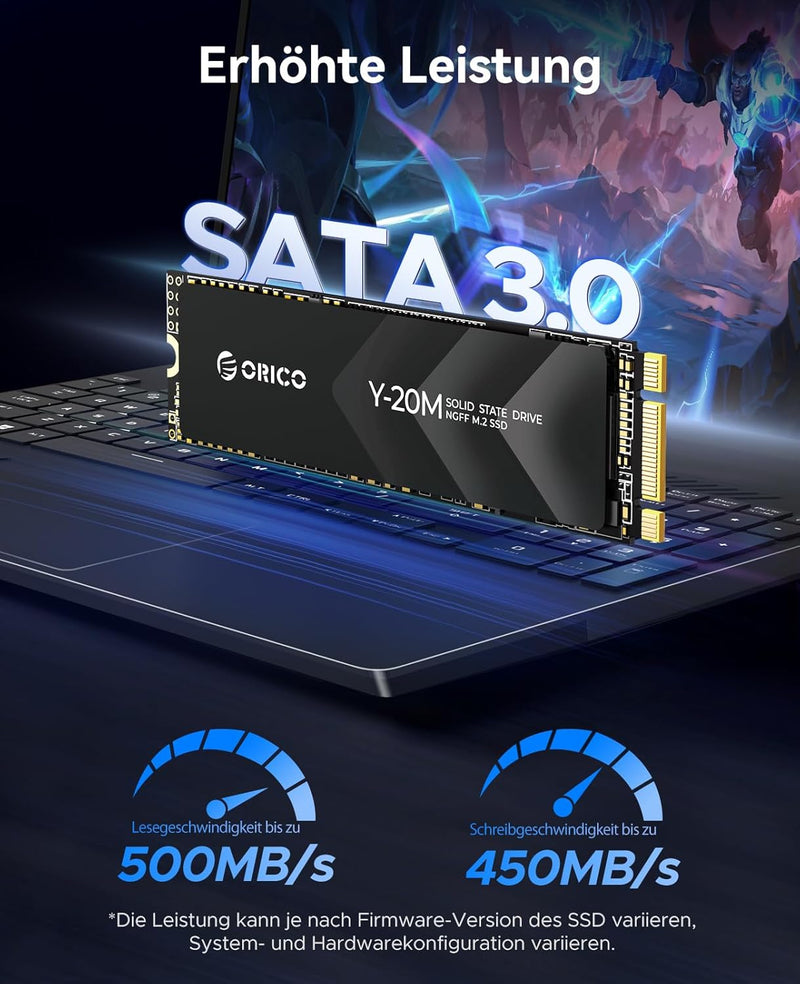 ORICO 256GB M.2 2280 SATA SSD, SATA III 6Gbps M2 SSD mit B+M Schlüssel, 500MB/s Internes Solid State