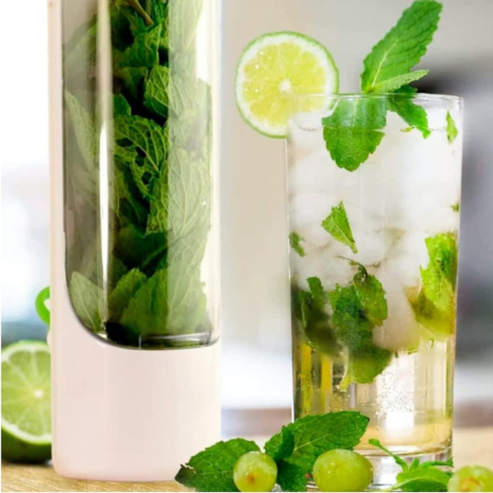 Herb Saver, Herb Storage, Herb Keeper für Kühlschrank, Herb Saver Pod Herb Container Preserver Fresh