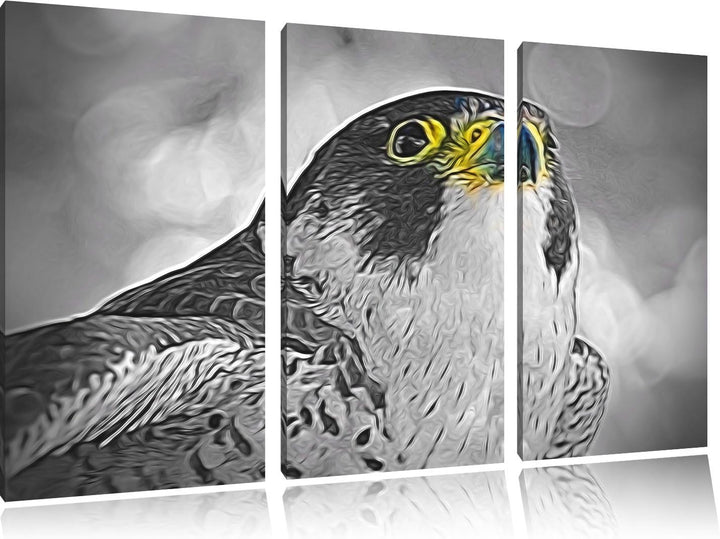 schöner anmutiger Adler schwarz/weiss Spezial 3-Teiler Leinwandbild 120x80 Bild auf Leinwand, XXL ri