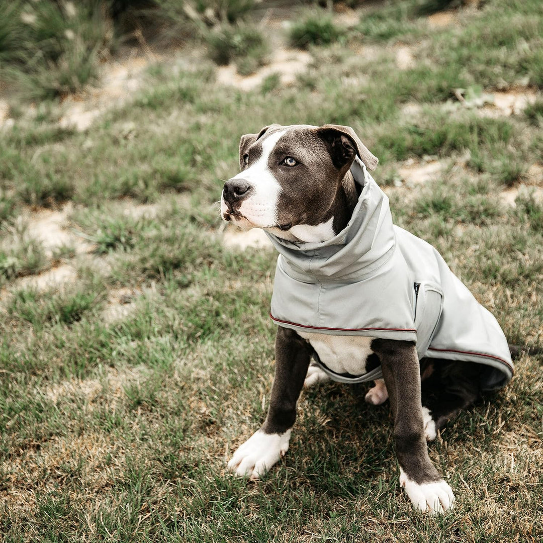 Kentucky Hunde Regenjacke Farbe Reitbekleidung Dusty Blue, Grösse S S dusty blue, S dusty blue