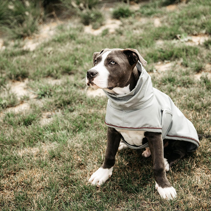 Kentucky Hunde Regenjacke Farbe Reitbekleidung Dusty Blue, Grösse S S dusty blue, S dusty blue