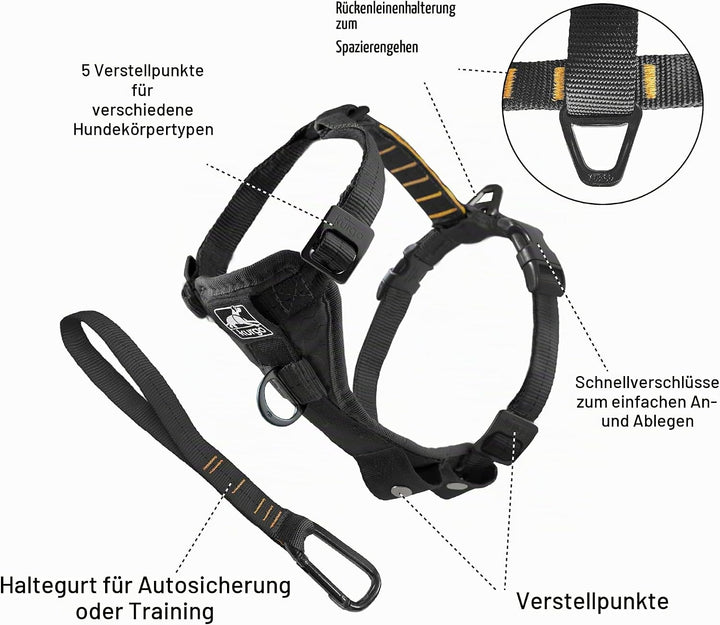 Kurgo Tru-Fit Smart Hundegeschirr, Mit gepolstertem Brustteil und D-Ring, Inklusive Autosicherheitsg