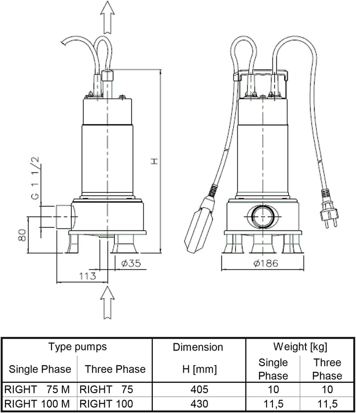 Ebara Serie Right 100 mA Elektrische einphasig Tauchpumpe für Wasser Posten in AISI 304 mit Galleg