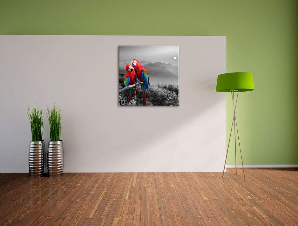 süsse Papageien auf AST schwarz/weiss, Format: 70x70 auf Leinwand, 70x70