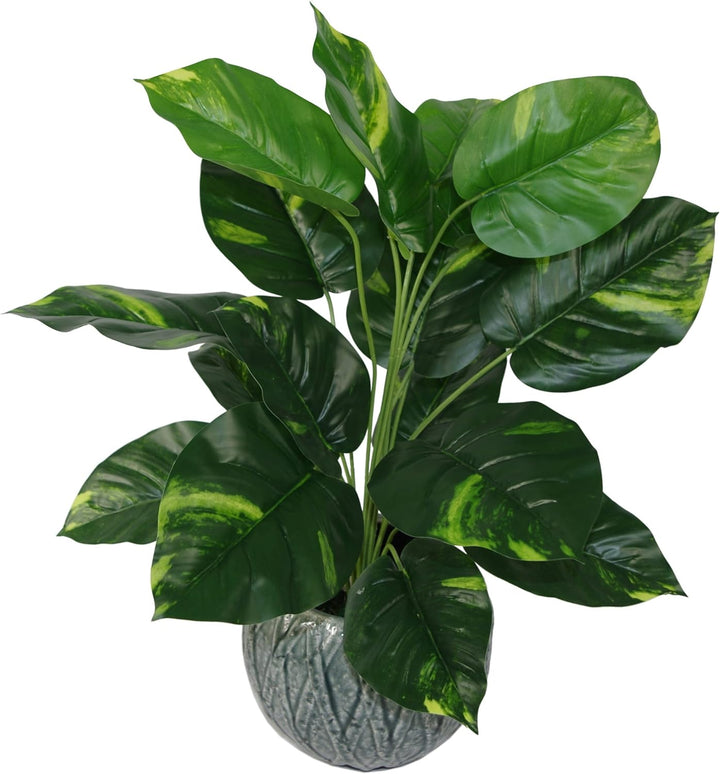 Leaf Design UK Kunstpflanze Teufels-Efeu Scindapsus Aureus, Kunststoff, 60 cm, Schwarz 60 cm 60 Cm T
