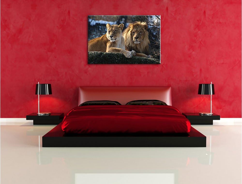 interessiertes Löwenpaar, Format: 100x70 auf Leinwand, XXL riesige Bilder fertig gerahmt mit Keilrah
