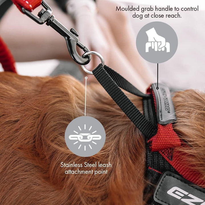 EzyDog Express Hundegeschirr - Norwegergeschirr für Kleine, Mittelgrosse und Grosse Hunde, Reflektie
