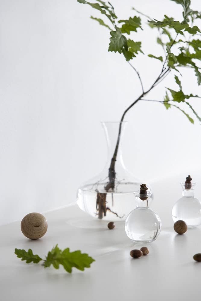 Sagaform Servier Set mit Holzkugel, SF 5016554, Glas, 8.0x8.0x12.0 cm Gewürz-/Kräuterflaschen, Gewür
