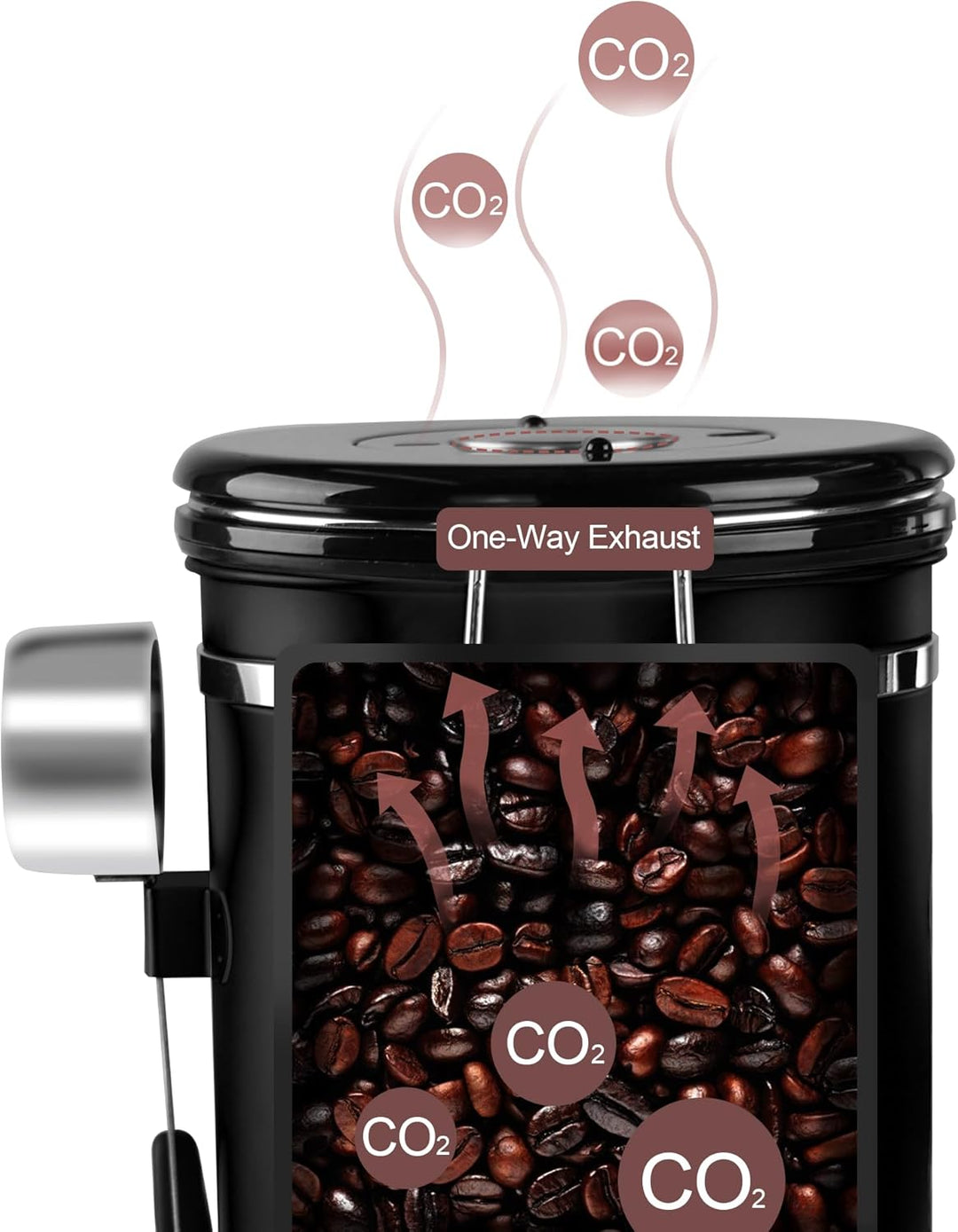 ROCKY&CHAO Kaffeedose Luftdicht aus Edelstahl 1,8L Kaffeebhnen Behälter mit Sichtfenster an der Seit