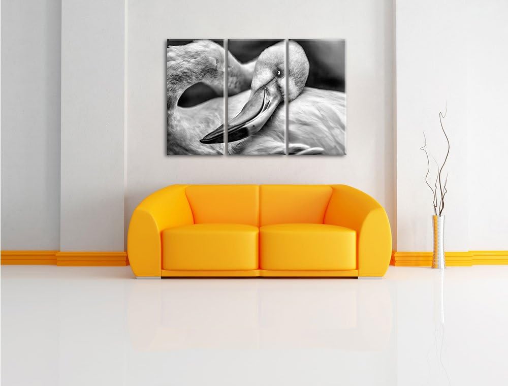 Pixxprint schöner Flamingo als Leinwandbild | Grösse: 3 Teilig (120x80) | Wandbild| Kunstdruck | fer