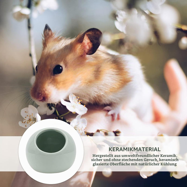 Hemobllo Hamsterversteck: Keramik Hamsterhaus Kleintierversteck Sommerkühlhamsterhaus Schlafhöhle Wa