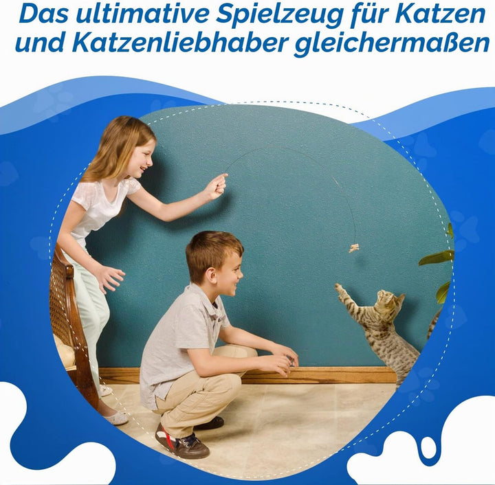 CAT DANCER Products CATD0101D Katzenspielzeug, Small Breeds (Packung mit 2) 1 Stück (Packung mit 2),