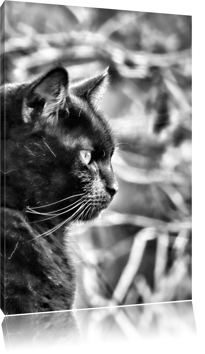 Monocrome, schwarze Katze, Format: 100x70 auf Leinwand, XXL riesige Bilder fertig gerahmt mit Keilra
