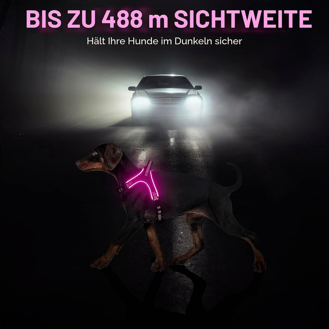 Light Up Light Hundegeschirr Leuchtend Aufladbar, LED Hundegeschirr Mit Griff, Reflektierende Brustg