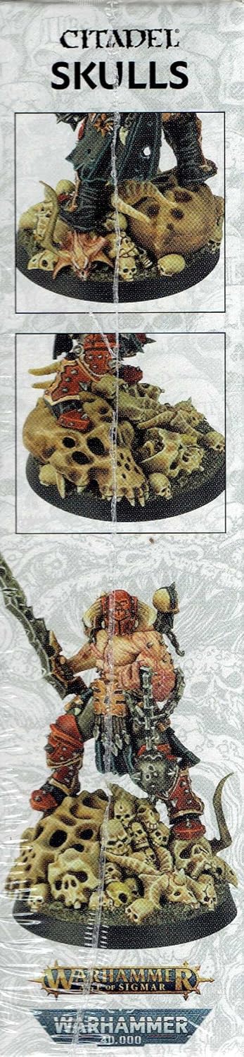 Games Workshop Citadel Box mit Schädeln/Totenköpfen, Schwarz
