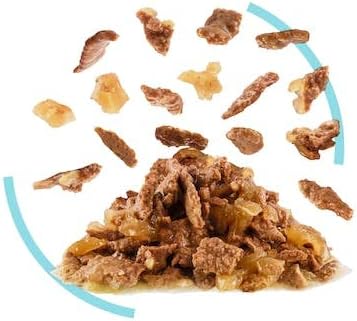 Royal Canin Sensory Feel Jelly | Doppelpack | 2 x 12 x 85 g | Nassfutter für ausgewachsene Katzen |