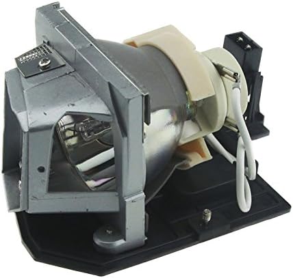 Huaute BL-FP230D Projektor-Ersatzlampe mit Gehäuse für Optoma HD20 HD200X TX612 TX615 EX612 EX615 HD
