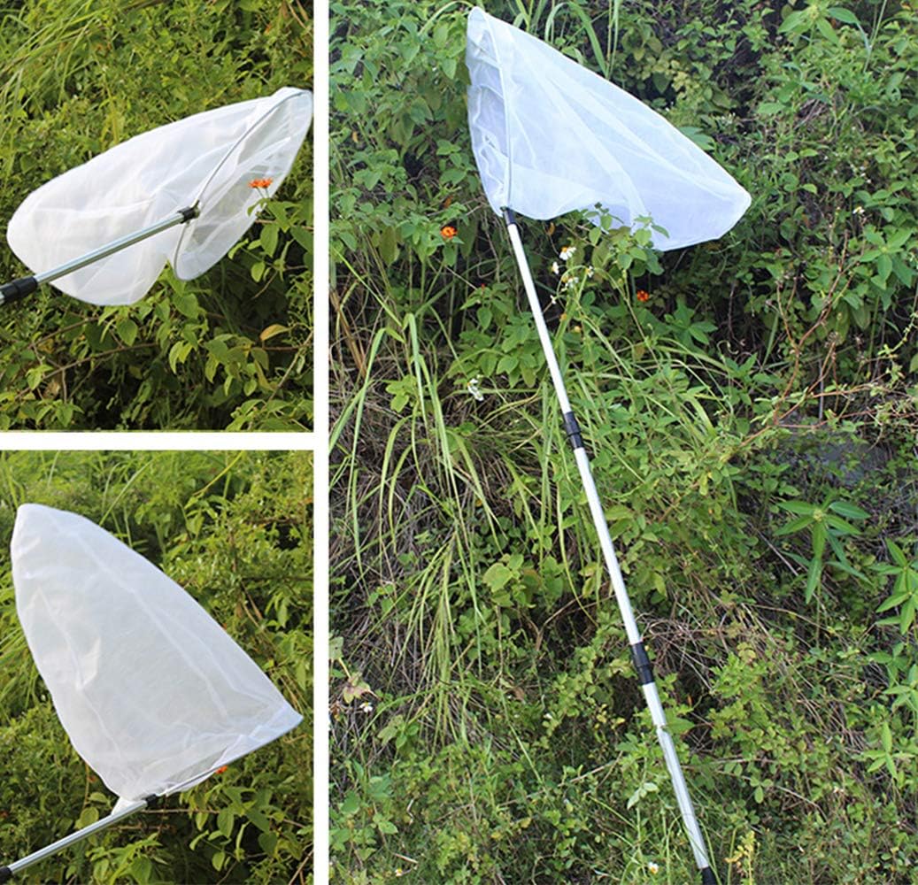 Teleskop Insekten- und Schmetterlingsnetz fängt Insekten Insekten Käfer Fischernetz mit 28 cm Ring,