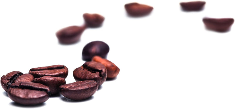 Caso 1830 Coffee Flavour - Elektrische Kaffeemühle zum mahlen von Kaffee, Espresso, Nüssen oder Gewü