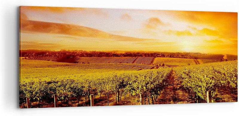 Wandbilder Dekoration Wohnzimmer Weinberg Aussicht Landschaft Panorama Bilder auf Leinwand 120x50cm