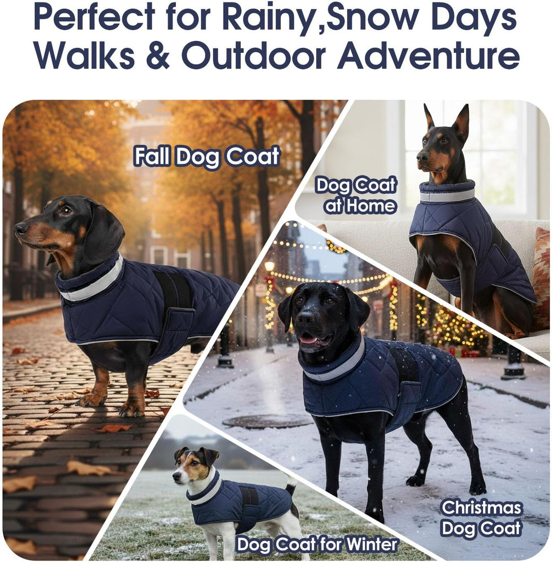 ASENKU Hundemantel Winter XL – Wasserdicht &amp; Winddicht für Grosse Hunde | Fleecegefüttert, Reflektor