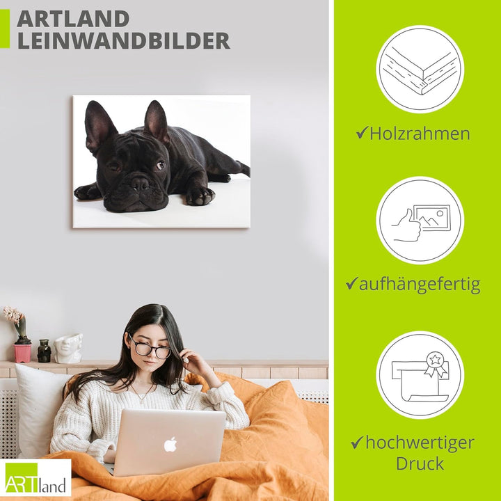 ARTland Leinwandbilder Wandbild Bild auf Leinwand 60x45 cm Tiere Haustiere Hund Fotografie Schwarz W