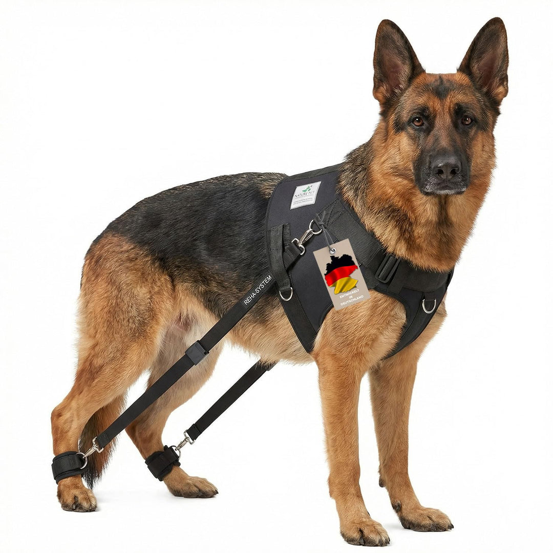 Nature Pet Hundeexpander &amp; Rehageschirr für Hunde – Flexipander zur Rehabilitation, Mobilitätshilfe