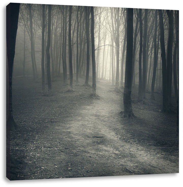 Pixxprint Düstere Landschaft schwarz weiss, Format: 70x70 auf Leinwand, 70x70