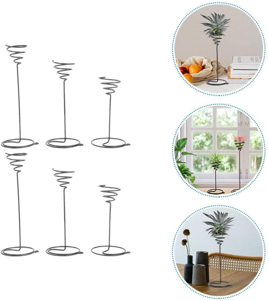 YARNOW 6 Stücke Garten Air for Racks Steht Tillandsia Draht Anzeige Halter Edelstahl Silber Pflanzer