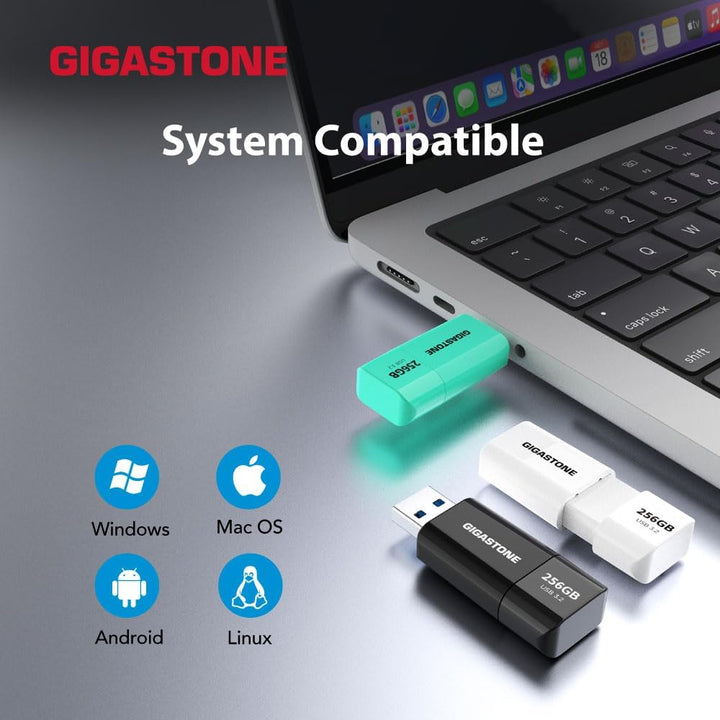 GIGASTONE 256GB Flash-Laufwerk, Z60 USB 3.2 Gen 1, 120MB/s UltraSchnell, Capless, Daten­speicherung,