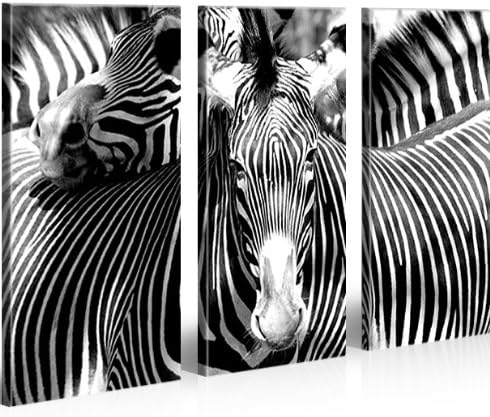 islandburner Bild Bilder auf Leinwand Zebra Tiere Zebras XXL Poster Leinwandbild Wandbild Dekoartike