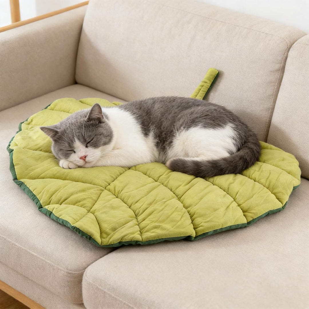 Katzenmatte blattförmig, 63x63cm gemütlich beruhigende Katze Welpen Betten, Maschine waschbar Hausti