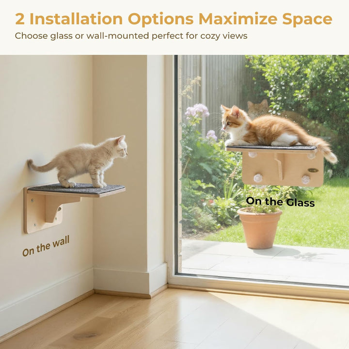 pecute Kletterwand Katzen, 2-in-1 für Wand & Glas, Katzenkletterwand mit Waschbar Abnehmbar Filzunte