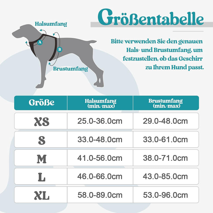 rabbitgoo Hundegeschirr Kleine Hunde, Anti Zug Geschirr mit Kontrolle, No Pull Verstellbar Hundegesc