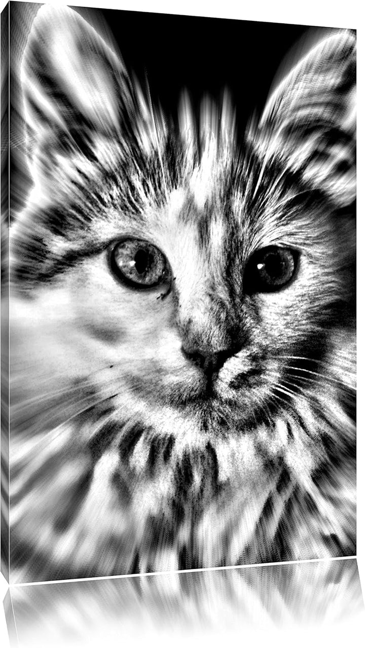 Monocrome, anmutige Katze, Format: 100x70 auf Leinwand, XXL riesige Bilder fertig gerahmt mit Keilra