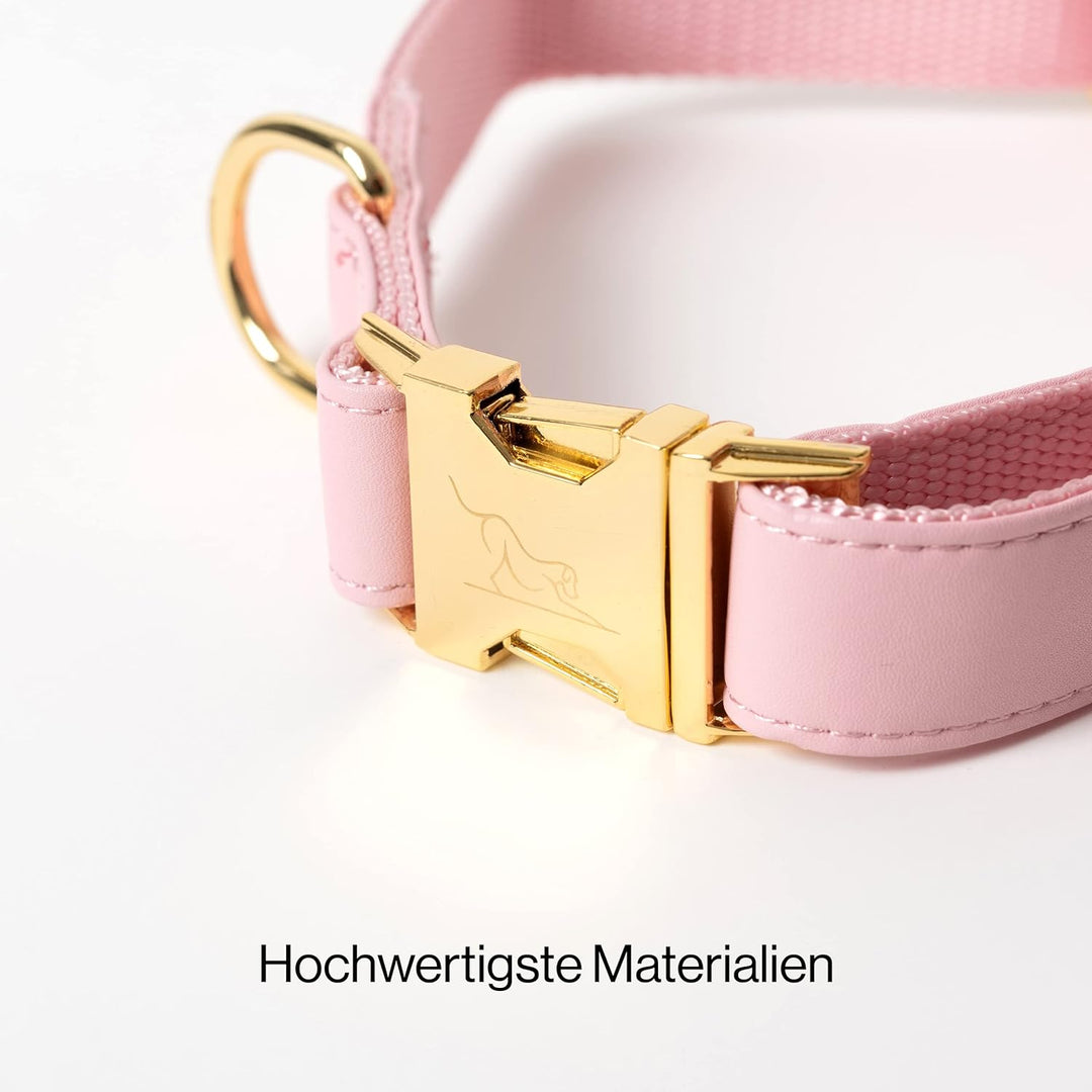 VELVETIER® Rose | Halsband Hund im Set mit Leine & Beutelspender | Veganes Leder | Hunde Halsbänder,