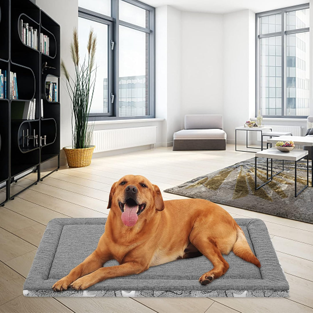 EMPSIGN Hundebett Grosse Hunde, Waschbar Hundekissen (kühl und warm), Hundematte aus hochdichtem Sch