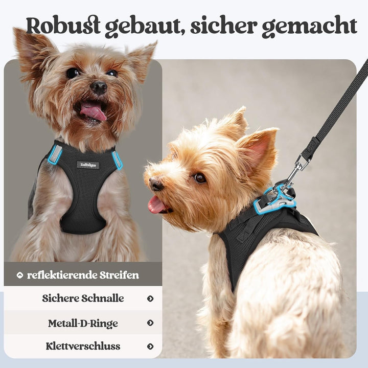 rabbitgoo Hundegeschirr Kleine Hunde mit Leine, Step-in Welpengeschirr Weich Mesh für Spaziergänge,