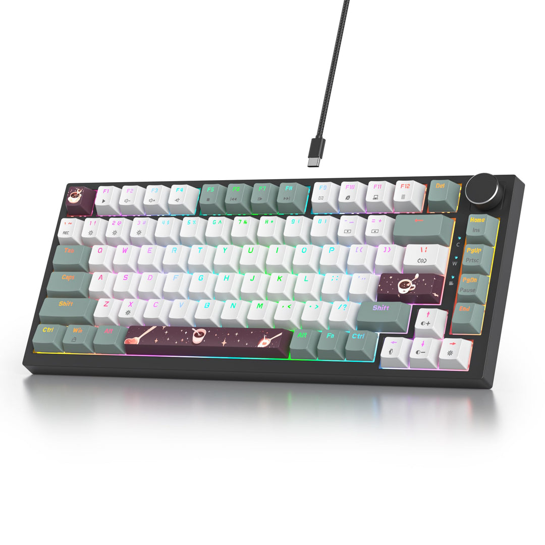 SOLIDEE Verkabelte Mechanische Gaming Tastatur 75 Prozent,hot-swap-fähige Mechanische Tastatur mit G