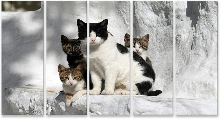 islandburner Bild auf Leinwand Katzen Griechenland Vor Wand Im Griechischen Stil Bilder Wandbilder P