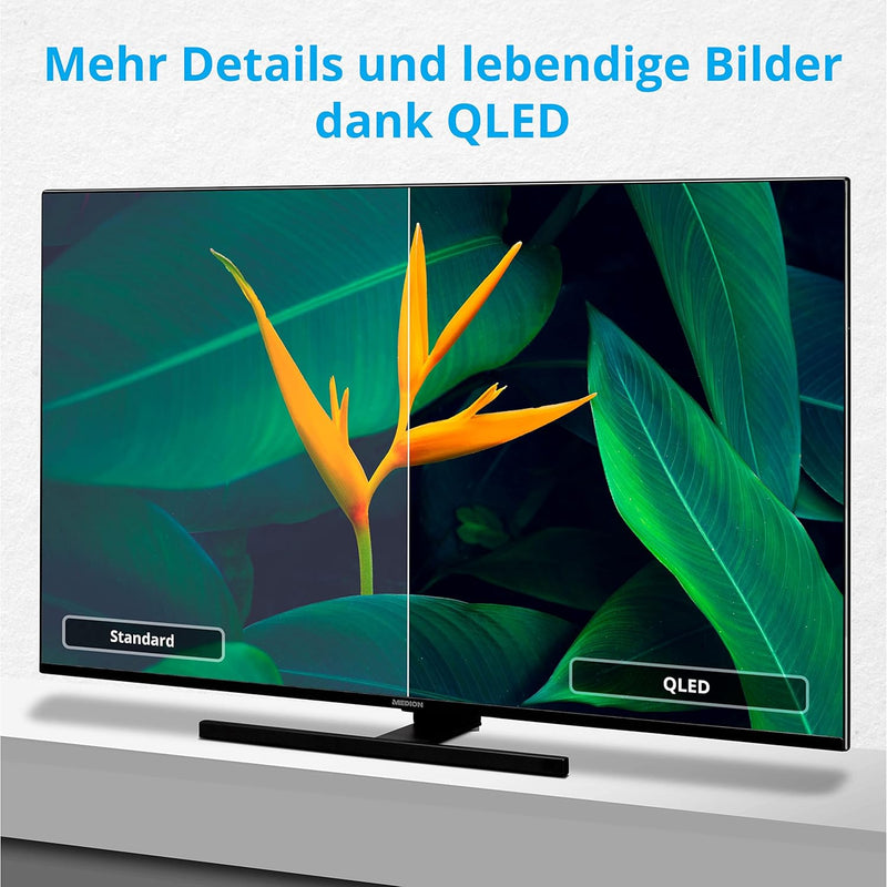 MEDION X14323 (MD 30960) 108 cm (43 Zoll) QLED Fernseher (Smart TV, 4K, Dolby Vision HDR, Dolby Atmo