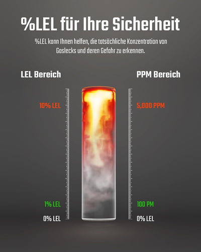 Gasmelder, TopTes PT210S Gasspürgerät mit 10 cm Sonde, ideal für den Einsatz in Wohnhäusern und Wohn
