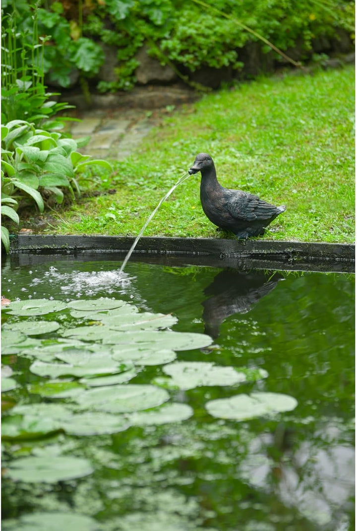 Exclusive - Wasserspeier Ente