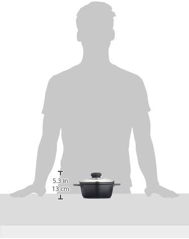 Karl Krüger 22016D Fleischtopf mit Glasdeckel Delta, Aluminium, Schwarz, 16 cm, 16 CM