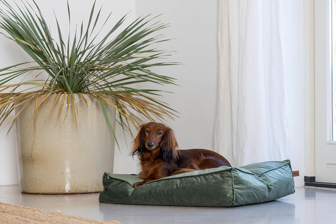 DBL REST CUSH NALINO DOG GREEN Grün 70X55X15 cm, Grün 70X55X15 cm