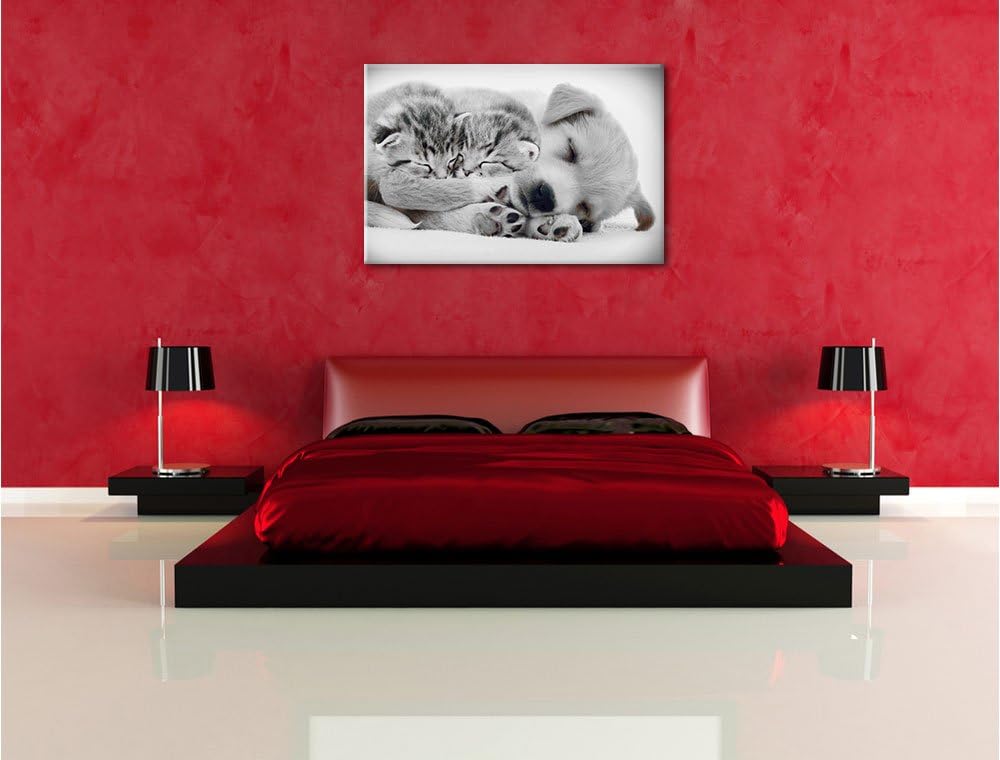 Pixxprint Hundewelpe mit kleinen Kätzchen als Leinwandbild/Grösse: 100x70 / Wandbild/Kunstdruck/fert